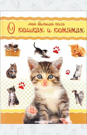  Моя большая книга о кошках и котятах