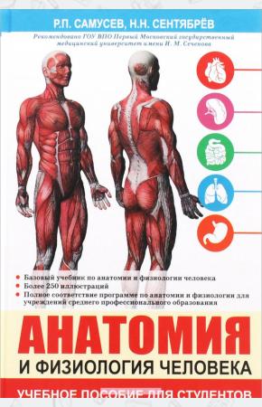  Анатомия и физиология человека. Учебное пособие для студентов учреждений среднего профессионального