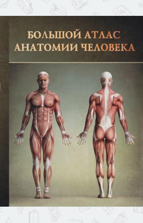  Большой атлас анатомии человека