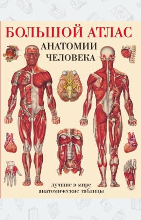 Махиянова Большой атлас анатомии человека