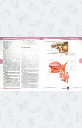  Анатомия человека. Том 3. Нервная система. Органы чувств. Учебник в 3 томах