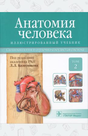  Анатомия человека. Учебник. В 3 томах. Том 2. Спланхнология и сердечно-сосудистая система