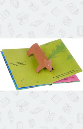  Крадется тигр. Открой и увидишь диких зверей. Книжка-игрушка