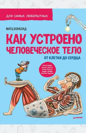  Как устроено Человеческое тело. От клетки до сердца