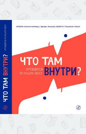  Что там внутри? Путеводитель по нашему мозгу
