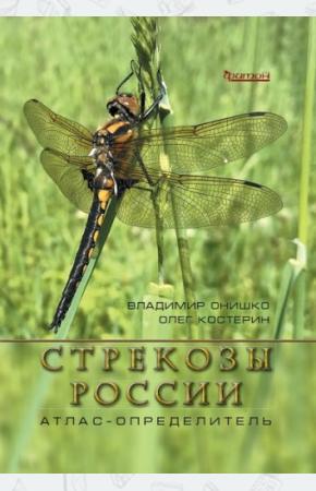  Стрекозы России