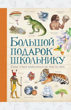  Большой подарок школьнику