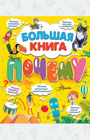  Большая книга почему