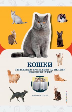  Кошки