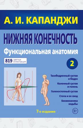  Нижняя конечность: Функциональная анатомия (обновленное издание)