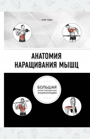  Анатомия наращивания мышц