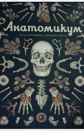  Анатомикум