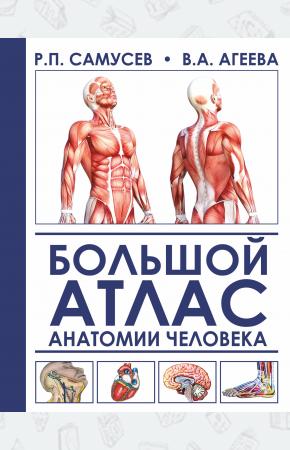  Большой атлас анатомии человека