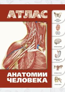  Атлас анатомии человека