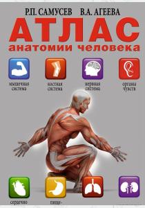 Атлас анатомии человека  Атлас анатомии человека