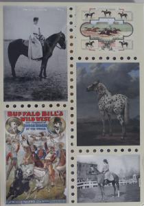 Степанова Лошади. Старинные открытки и иллюстрации