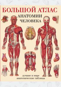 Махиянова Большой атлас анатомии человека