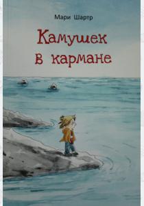  Камушек в кармане